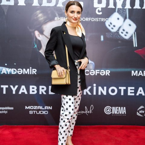“CinemaPlus” da “Əlvida, Şmidt!” filminin qala-gecəsi keçirilib. — 11