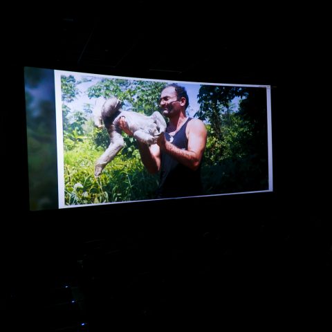 Wildlife in CinemaPlus with Faik Babanli — 19