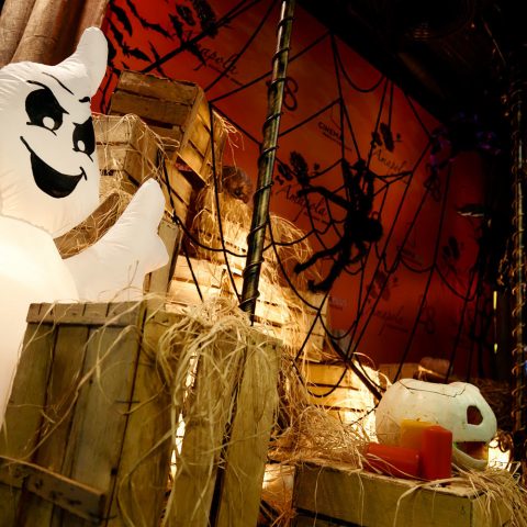 “CinemaPlus”da “Halloween” festivalı keçirilib — 22