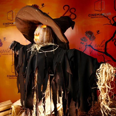 “CinemaPlus”da “Halloween” festivalı keçirilib — 25