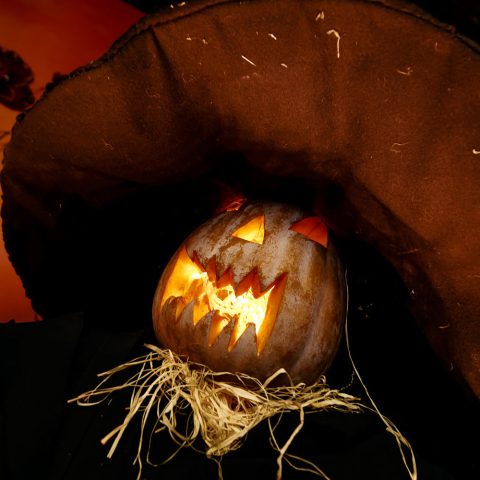 “CinemaPlus”da “Halloween” festivalı keçirilib — 36